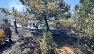 Kozanköy ve Kırıkkale'de peş peşe yangınlar: 15 bin 100 dönüm arazi zarar gördü