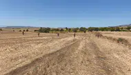 Ölümlü kazaya sebep olan araç sürücüsü aranıyor!