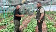 Çavuş, Güneşköy ve Aydınköy’de: Tarımsal zararlar için hasar tespiti başlıyor