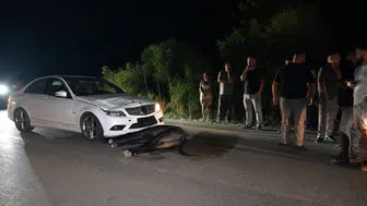 Yeşilkoy–Yenierenköy yolunda kaza: Aniden yola çıkan eşeğe araç çarptı!