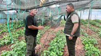 Çavuş, Güneşköy ve Aydınköy’de: Tarımsal zararlar için hasar tespiti başlıyor
