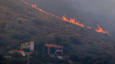 İtalya'da aşırı sıcaklar ve orman yangınlarıyla mücadele ediliyor