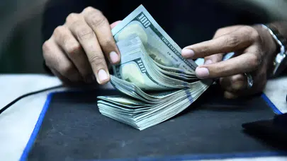 Dolar rekor tazeledi