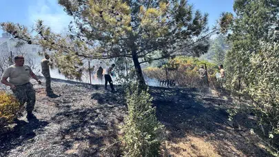 Kozanköy ve Kırıkkale'de peş peşe yangınlar: 15 bin 100 dönüm arazi zarar gördü