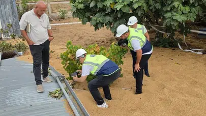 İnşaat Mühendisleri Odası silo faciasını yerinde inceledi