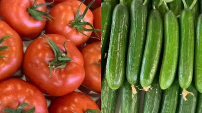 Gıda denetimleri: Şeftali ve çeri domates iade edildi, yerli domates ve salatalık imha edildi