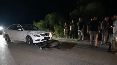 Yeşilkoy–Yenierenköy yolunda kaza: Aniden yola çıkan eşeğe araç çarptı!