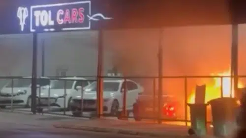 Lefkoşa’da oto galeri kundaklandı: İki kişi Ercan’da tutuklandı