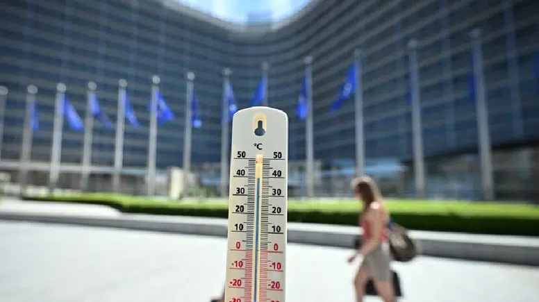 Belçika'da sıcak hava dalgası, 2000'den bu yana en fazla can kaybına yol açtı