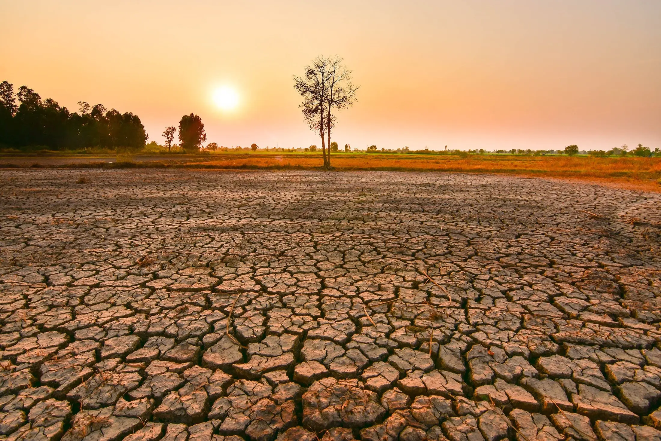 Brace for heat: El Nino to come back with record heat, UN warns | Daily Sabah